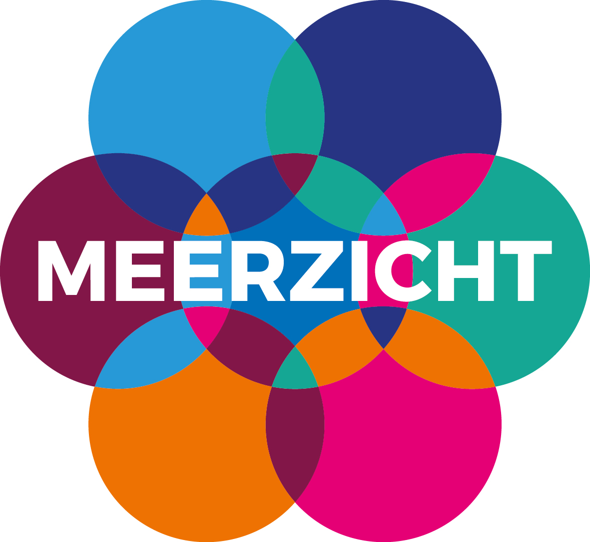 Logo Meer voor Meerzicht